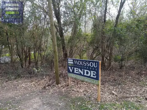 Isla Libertad (Lotes internos)