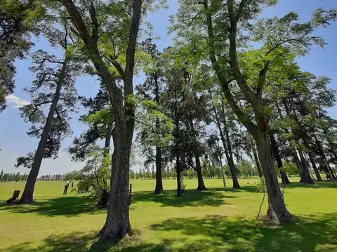 Terreno en Venta 51  mts Fondo