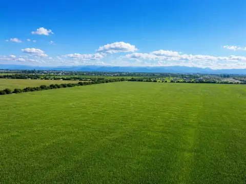 VENTA TERRENO 31 HECTAREAS IDEAL LOTEO UNQUILLO