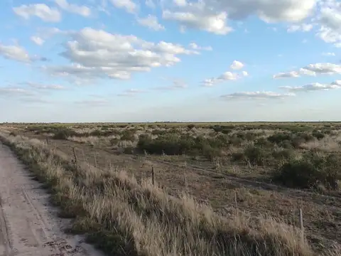 CAMPO MIXTO 575 HAS EN SANTIAGO DEL ESTERO