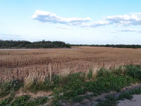 CAMPO MIXTO 575 HAS EN SANTIAGO DEL ESTERO