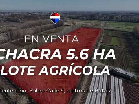 Chacra de 5.6has en centenario – lote agricola