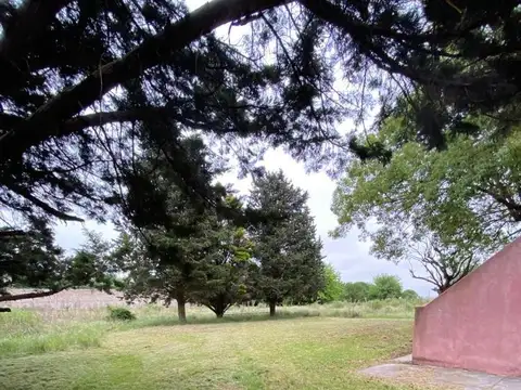 Quinta en Venta en Virrey del Pino, USD 68.000