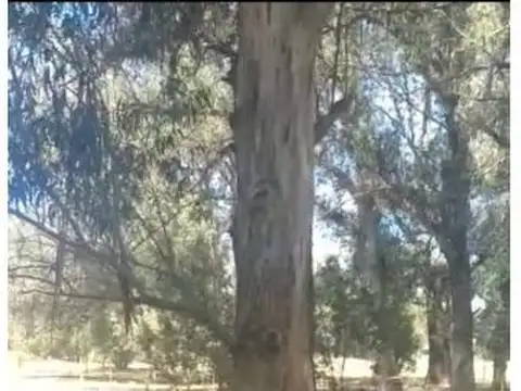 Terreno en Venta en Necochea, USD 4.000