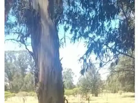 171 Nº 3174 , Piso No definido