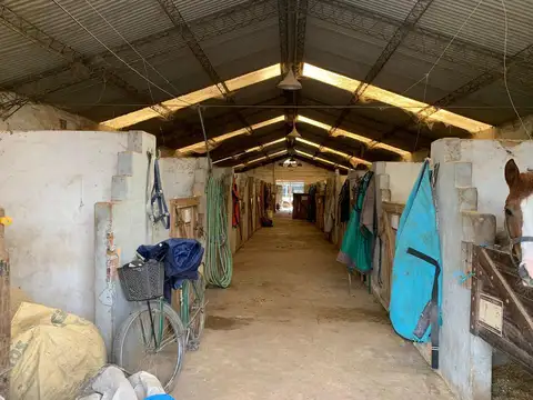 Campo en venta en Villa Astolfi, Pilar