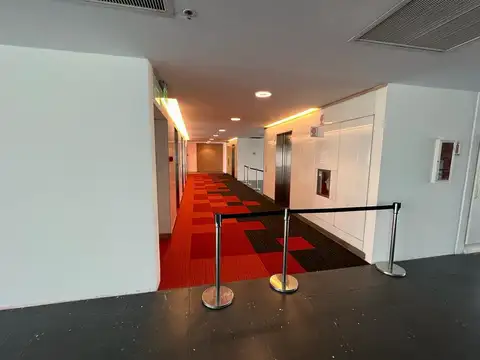 Oficina en Alquiler con 12 cocheras