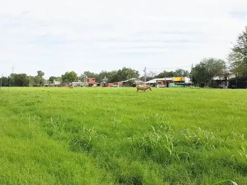 Juan Mermoz Norte 1300