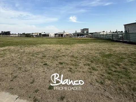 San Sebastian - Area 13 -