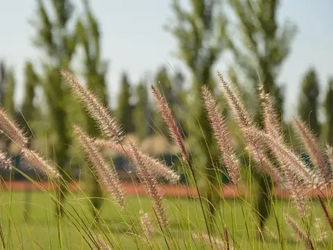 Barrio Privado San Roque 99 I
