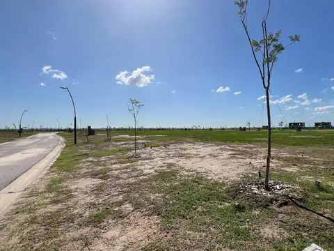 Terreno en Venta, FOT 60