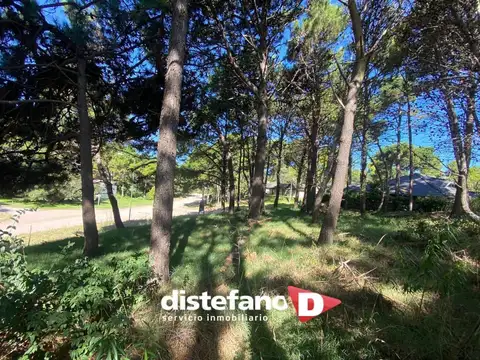 Terreno en Venta de 716,0 m2