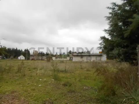 Alberti y Alvarado , Piso 0