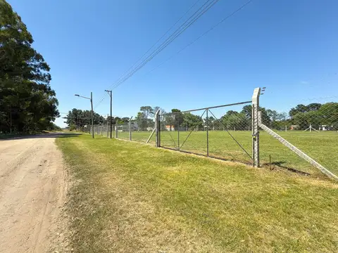 Jorge Luis Borges 300