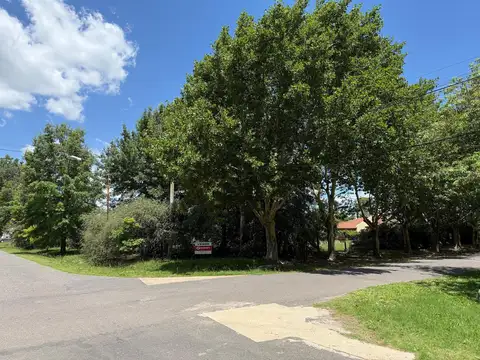 Las Araucarias esq. Los Fresnos