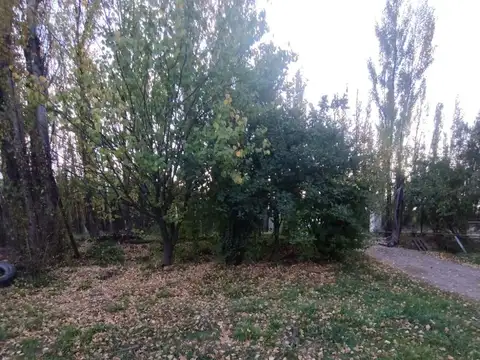 Casa en Alquiler 21 años