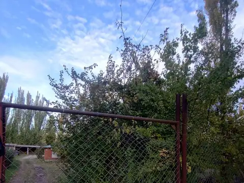 Casa en Alquiler en Villa Regina, $ 700.000