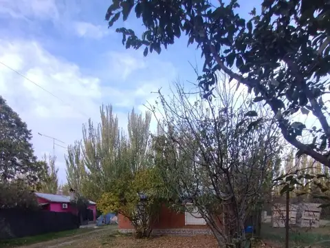 CASA QUINTA EN ALQUILER (VILLA REGINA)