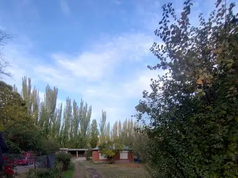 CASA QUINTA EN ALQUILER (VILLA REGINA)