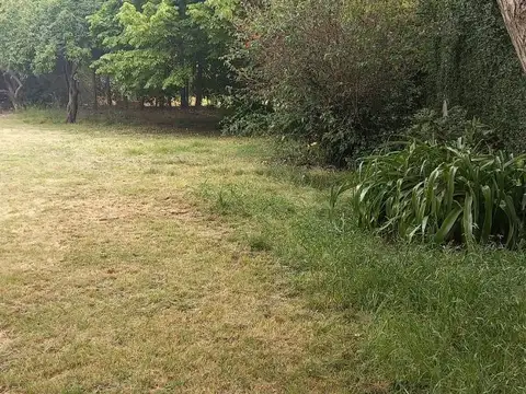 132 Bis e/ 492 y 493