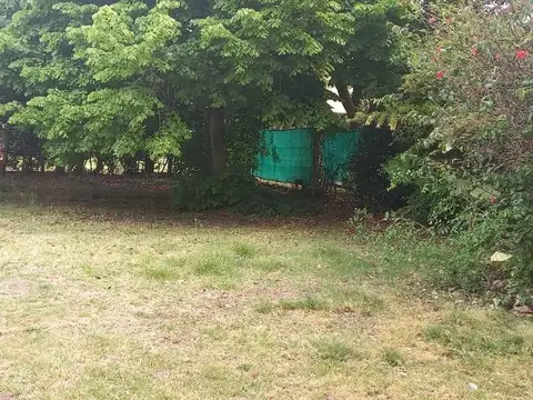 132 Bis e/ 492 y 493