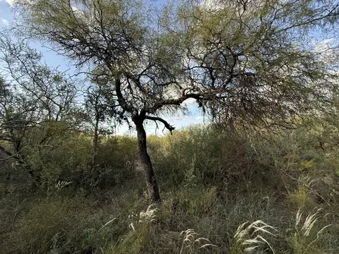 Terreno en Venta en La Travesia, USD 15.000