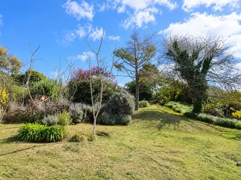 Terreno en Venta 25  mts Fondo