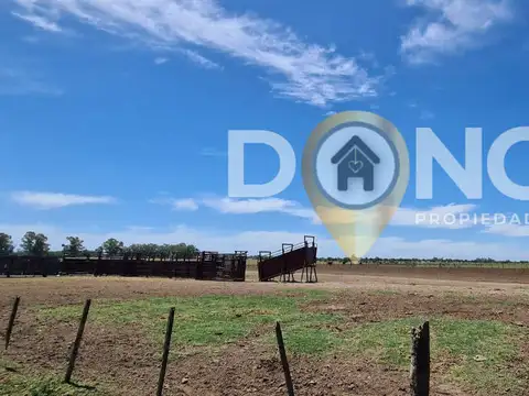 CAMPO 120 HECTAREAS USO MIXTO o DESARROLLO