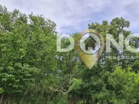 CAMPO 120 HECTAREAS USO MIXTO o DESARROLLO