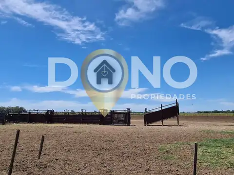 CAMPO 120 HECTAREAS USO MIXTO o DESARROLLO