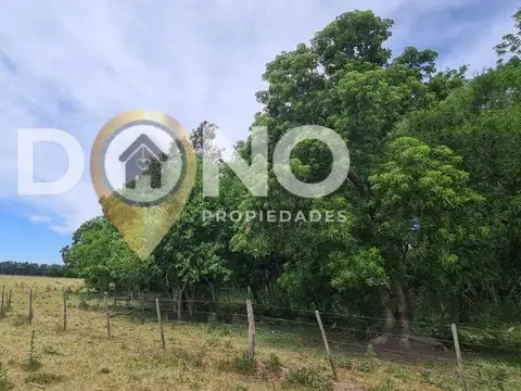 CAMPO 120 HECTAREAS USO MIXTO o DESARROLLO