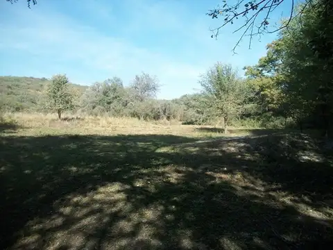 Terreno en Venta en Villa Oviedo, USD 25.000