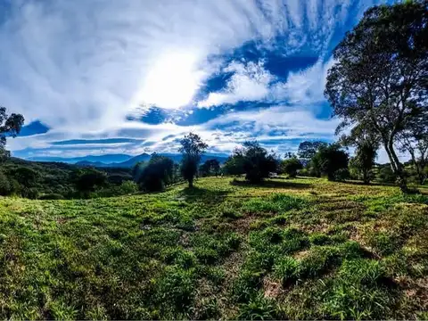 La cañada al 100