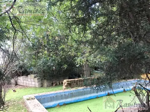 Victorino de la plaza al 1100