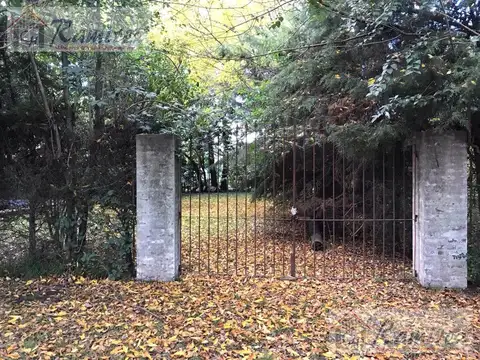 Victorino de la plaza al 1100