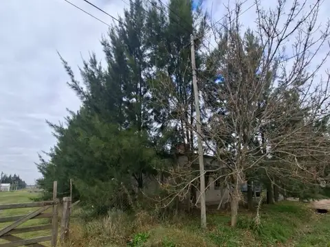 Alquiler de casa en domselaar