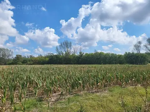 MMP - Venta campo 40 hectareas en Lima Zarate