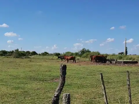 Campo en Venta en Santa Fé - Oportunidad