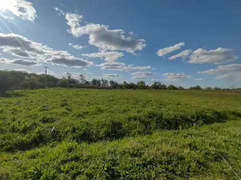 Hectáreas en Venta Ideal diversos rubros, El Pato