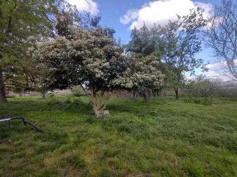 Calle 517 esquina 645 3900