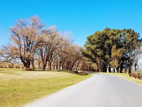 Terreno en Venta de 600,0 m2