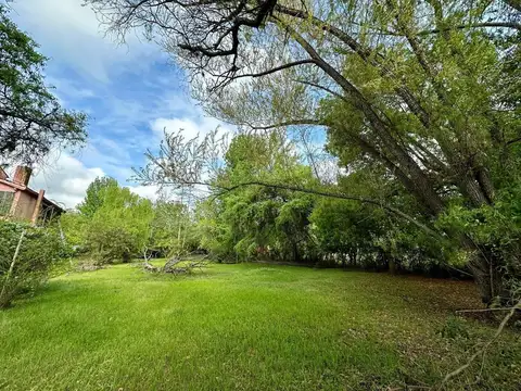 Terreno en Venta 50  mts Fondo