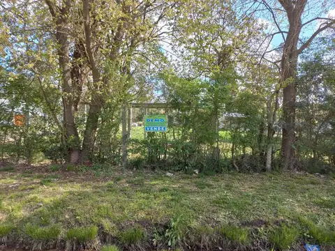 Puerto Principe  N° al 1100