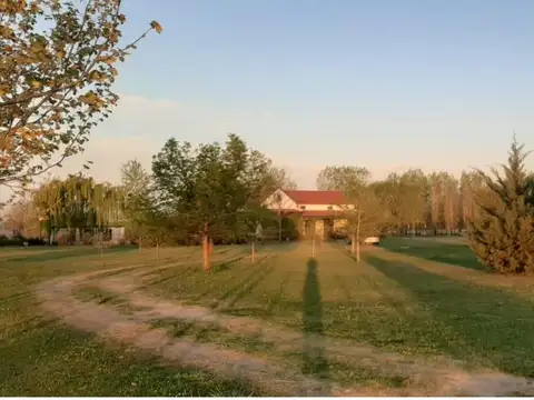 Chacra en venta en San Antonio De Areco - 5 Ambientes