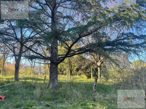 Terreno en Venta 30  mts Fondo