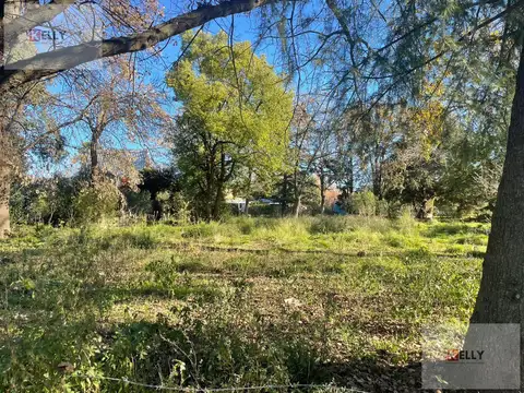 Terreno en Venta 20  mts Frente