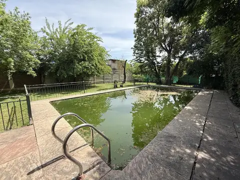 benito lynch  al 100