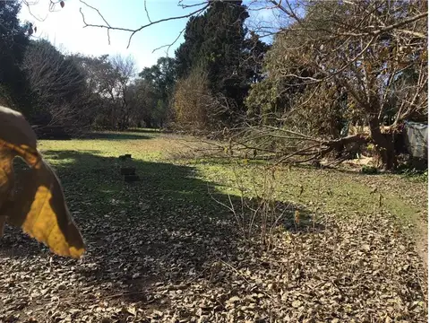 VENTA TERRENO ALVEAR