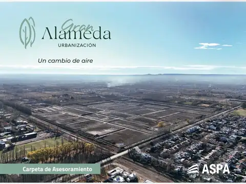 Venta terreno gran alameda cipolletti