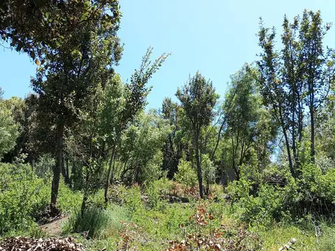 casa 3 ambientes venta en pozo en Valle Chapelco